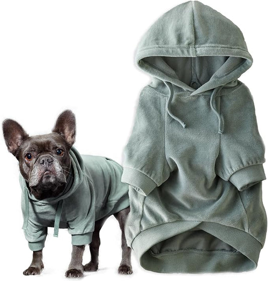 Pet Passion Cooper II Organic Cotton Velour Dog Hoodie Pet Coat for Small, Medium and Large Dogs, Sage, X-Small (5-12 lbs)
