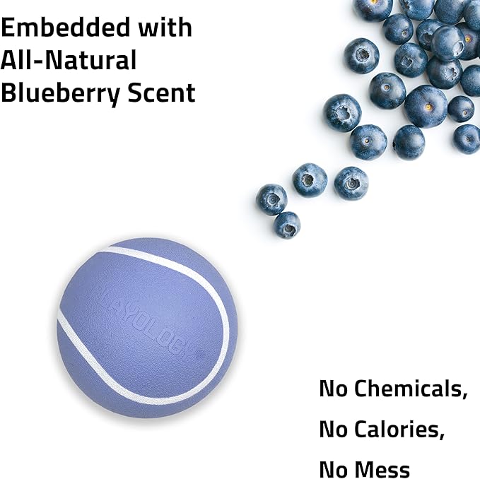 Playology Dog Toys | Squeaky Chew Ball for Dogs | Blueberry Scented Medium Dog Ball | Bouncy Floating Chew Toys for Fetch