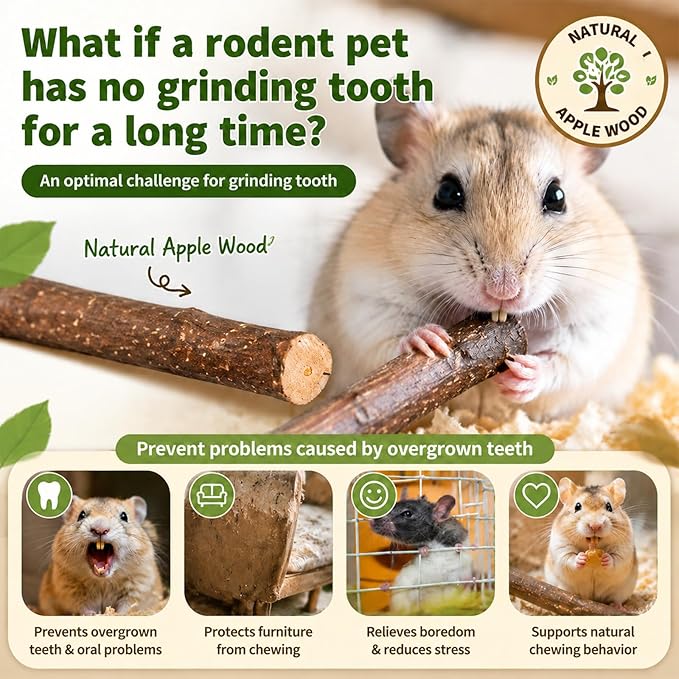 Sukh Natural Organic Apple Sticks - 250g Hamster Chew Stick Hams Rabbit Bunny Gerbil Guinea Pig Squirrel Chinchilla Small Animal Chew Sticks
