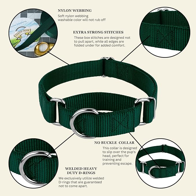 Country Brook Petz - Martingale Dog Collar - Heavy-Duty Training Collar with No Buckle - Service Dog Collar for All Pups - 20 Vibrant Colors (Green, 1 Inch, Extra Large)