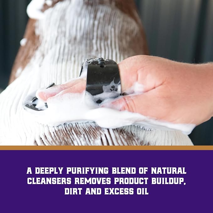 Weaver Livestock Brightening Shampoo for Horses, Pigs, Cattle, Gentle, and Effective, Shampoo with Optical Enhancers, Daily Use Cattle Show Supplies