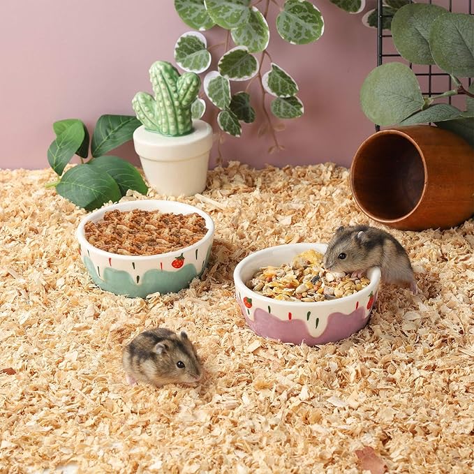 VanEnjoy 2 Pack Hamster Food Bowl Small Ceramic Water Food Bowl for Cage Small Animal Bowls for Hamster Guinea Pig Chinchilla Rabbit - Blue and Purple