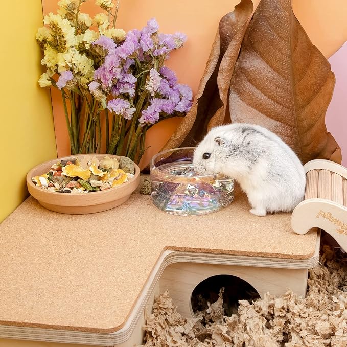 Niteangel Hamster Feeding & Water Bowls- Mount Fuji Series Glass Drinking Bowls for Dwarf Syrian Hamsters Gerbils Mice Rats or Other Similar-Sized Small Pets