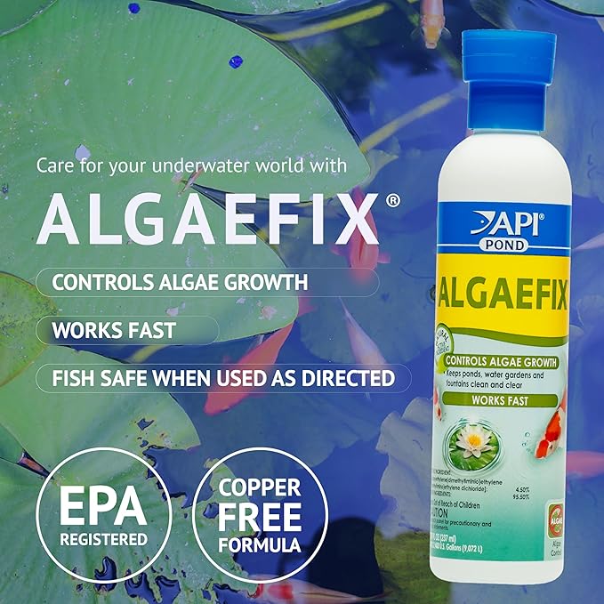 API POND ALGAEFIX Algae Control 32-Ounce Bottle, FISHAQUARI (169G)