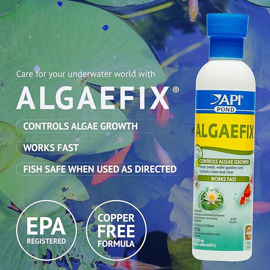 API POND ALGAEFIX (1 gallon) Pond Algae Control - Copper Free - Clean, Clear Water - Up to 38400 Gallons - Safe for Fish, Plants - Water Gardens, Fountains - Natural Active Ingredient - EPA-Registered