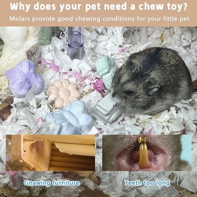 Hamiledyi 10 Pieces Hamster Teeth Grinding Lava Block Calcium Stone Chew Toys for Chinchillas Rabbits Gerbil Guinea Pig Syrian Hamster Squirrel Ferret