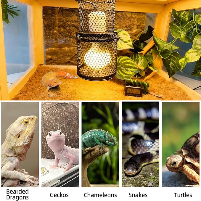 kathson Retractable Reptile Heat Lamp Guard,Reptile Anti-Scald Mesh Cage Protection Lampshades with Thermometers,Ceramic Heat Emitter Lamp Fixture Holder for Snake Lizard Turtle Frog,Without Bulb