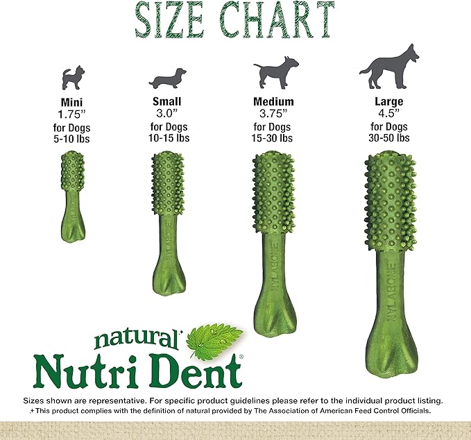 Nylabone Nutri Dent Dog Dental Chews - Natural Dog Teeth Cleaning & Breath Freshener - Dental Treats for Dogs - Fresh Breath Flavor, Medium (20 Count)