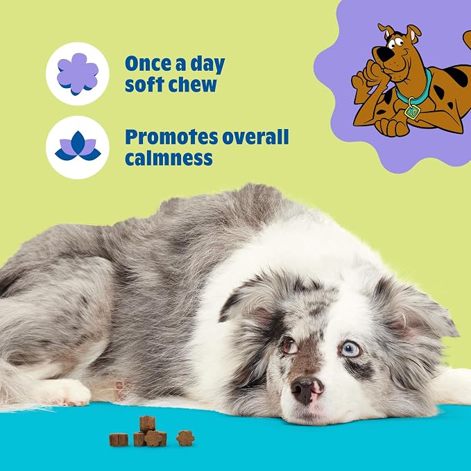 BARK x Scooby Calming Aid Health Supplement for Medium Breed Dogs