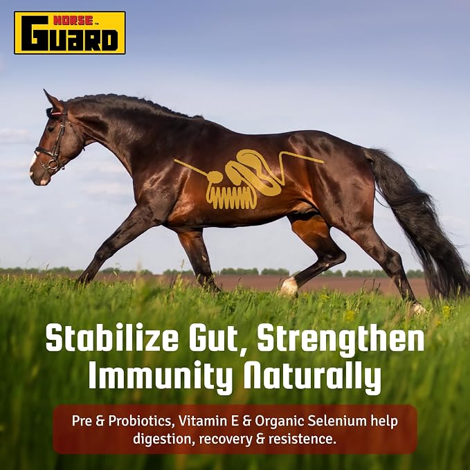 Horse Guard Super Weight Gain 10 lb – 3-in-1 Horse Weight Gain Supplement with Full-Fat Soy, Probiotics & Vitamins – Supports Digestion, Coat & Muscle Health – 20 Servings