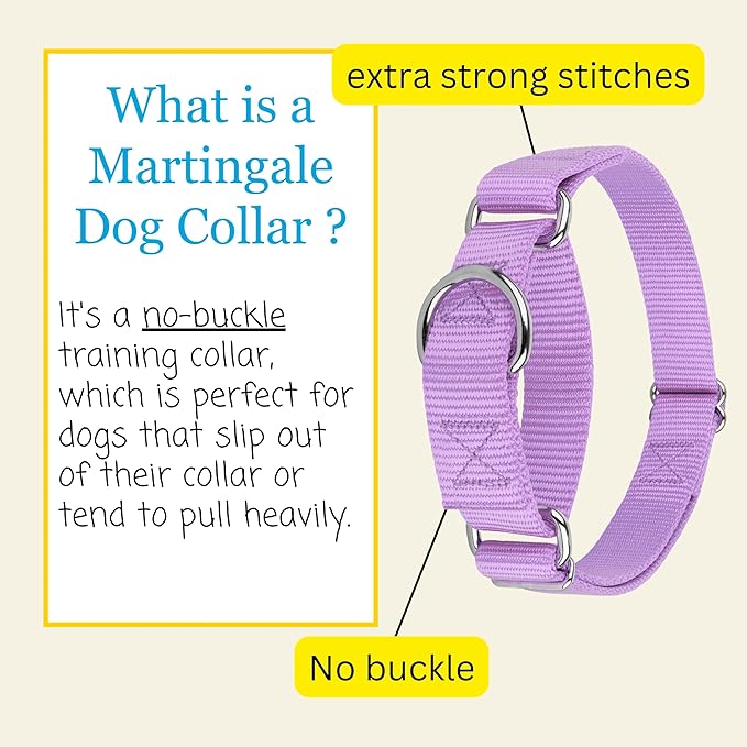 Country Brook Petz - Martingale Dog Collar - Heavy-Duty Training Collar with No Buckle - Service Dog Collar for All Pups - 20 Vibrant Colors (Lavender, 3/4 Inch, Small)