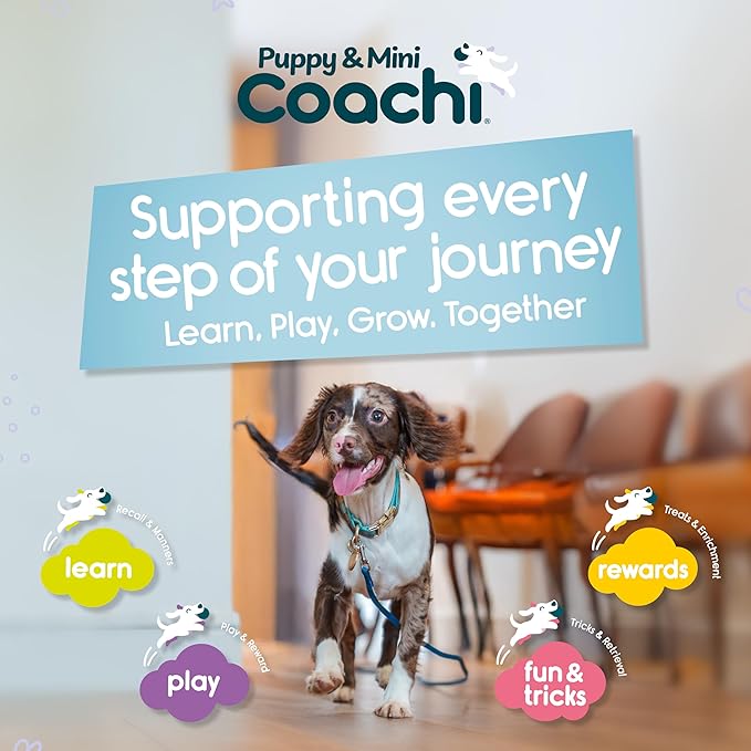 Coachi Puppy & Mini Tuggi Ball - Lightweight, Tough Dog Toy, Stretchy Bungee Handle, Reward Training, Agility, Recall, Interrupt Biting & Chewing, Suitable for Small Dogs & Puppies