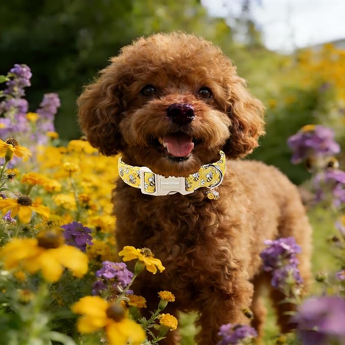 Lionet Paws Spring Dog Collar- Cute Bees Yellow Dogs Collar with Plastic Buckle and Bee Pendant,Dog Collar for Medium Dogs