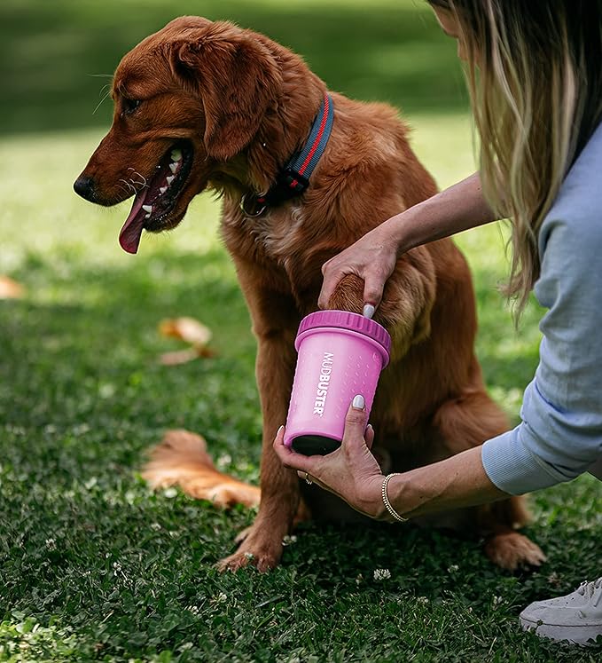Dexas MudBuster Medium Dog Paw Cleaner in Fuchsia - Fits 1.5"-2.5" Wide Paws, Portable Paw Washer for Muddy Paws, Dog Paw Cleaning Cup with Gentle Silicone Bristles, Quick Clean Pet Paw Washer