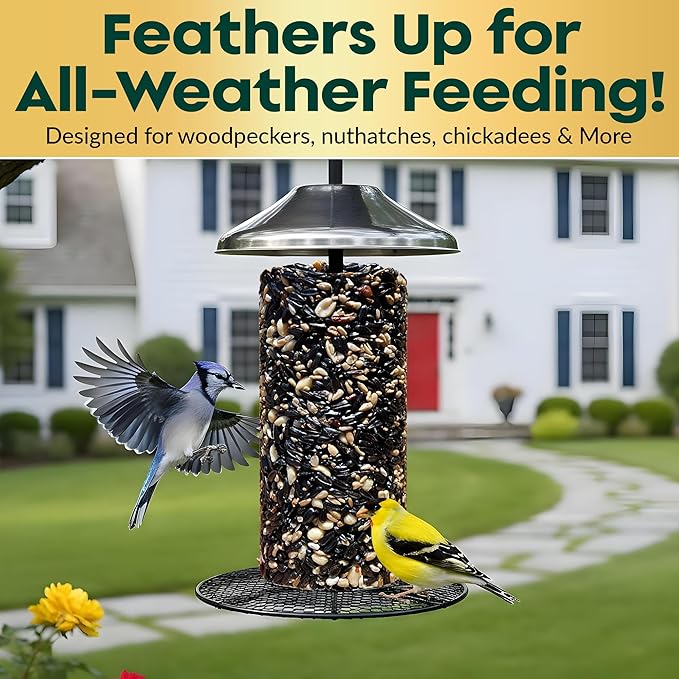 All Year Round Bird Seed Cylinders with Hole – All Season Wild Bird Food for Blue Jays, Cardinals, Doves, Finches & More – High Energy All Natural Blend, No Fillers – USA Made (4" x 7.75") 2 Pack