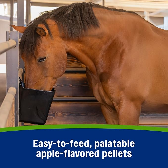 Farnam Apple Elite Electrolyte Supplement for Horses, Replaces Vital Minerals, for Hydration, No Added Sugar, Horse Supplements with Sodium, Potassium, Calcium & Magnesium, 7.5 lb, 40 Day Supply
