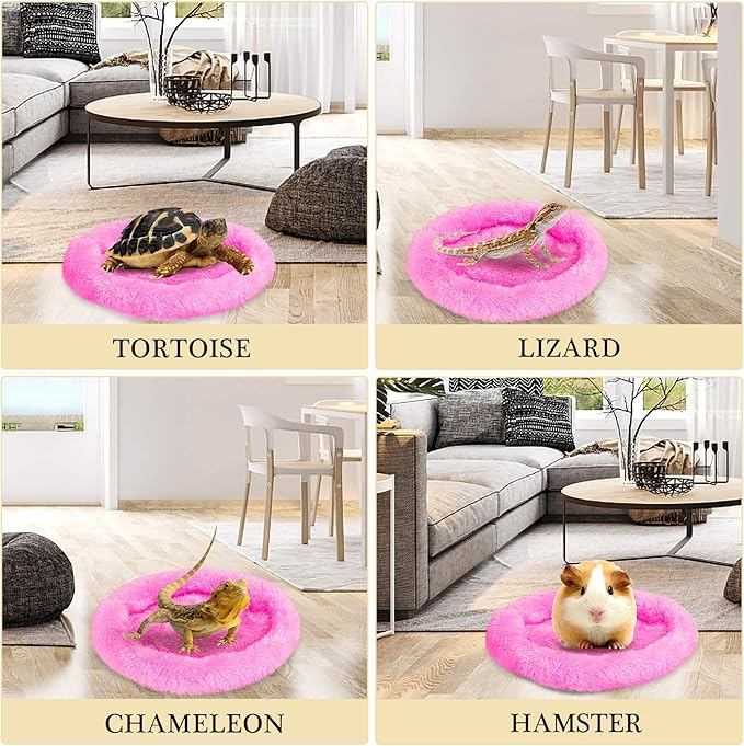 FEBSNOW Guinea Pig & Hamster Beds - Hedgehog, Squirrel & Tortoise/Lizard Beds