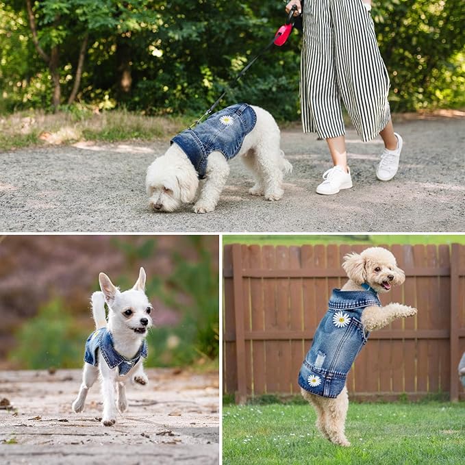 Dog Denim Jacket with Embroidered Daisy, Ripped Vintage Jean Vest for Small Dogs, Puppy, Pugs, Chihuahuas, Spring Summer Fall Festival Outfit, Small (Fits Chest 11-12")