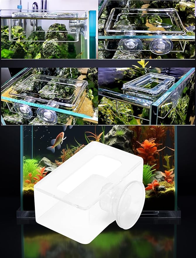 Aquarium Fish Feeding with Suction Cup, Floating Food Feeder for Betta Goldfish Small Tanks, Acrylic Fish Feeder for Reducing Waste and Keeping Water Clean, 2 Sizes for Feeding Tub