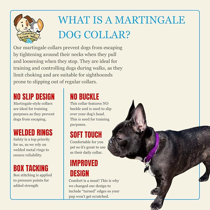 Country Brook Petz - Martingale Dog Collar - Heavy-Duty Training Collar with No Buckle - Service Dog Collar for All Pups - 20 Vibrant Colors (Purple, 1 Inch, Extra Large)