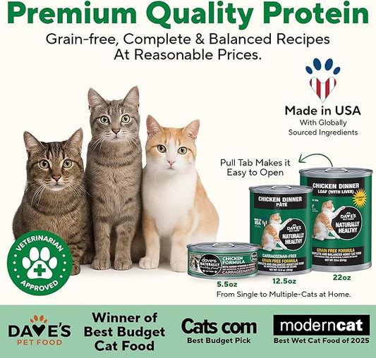 Dave's Pet Food Grain Free Wet Cat Food Pate (Chicken), Made in USA Naturally Healthy, Economy Size, Multi-Cat Families, Canned, 22 oz Cans (12 Pack)