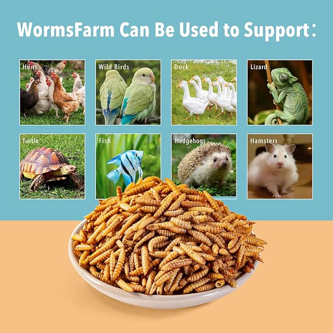 WormsFarm 5LB Dried Black Soldier Fly Larvae Treat for Chicken More Calcium Than Mealworms,for Laying Hen,Wild Birds (5 Pound)