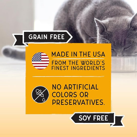 Blackwood Bounty Dry Cat Food, Chicken & Turkey Recipe for All Life Stages, 4.5 Pound Bag, High Protein, Grain Free