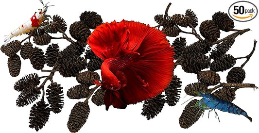 Alder & Casuarina Cones Betta Shrimp Tank Promotes Natural Habitat, Breeding, Tannin Producing Improves Immunity, Easy to Use, by Awesome Aquatic (50 Pack Alder)