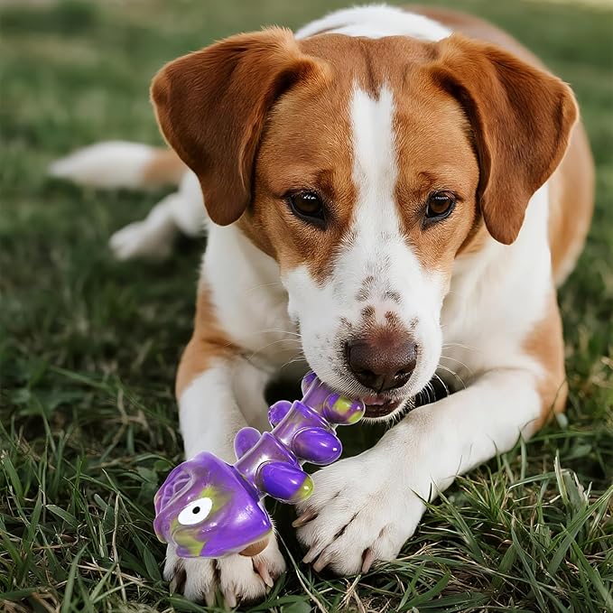 Dog Chew Toys for Aggressive Chewers：2 Pack Indestructible Dog Toy for Large, Medium Breed to Keep Them Busy Bacon and Beef Flavor