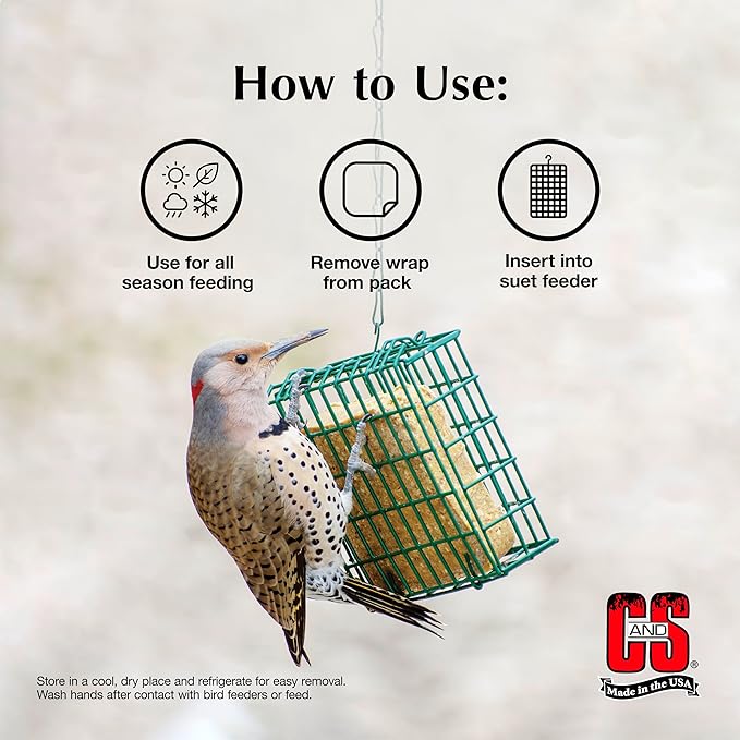 C&S Apple Suet Treat, Wild Bird Food for Fruit-Loving Bluebirds, Thrashers, Tanagers, Wrens and Robins, 11.75 Ounces, Pack of 8