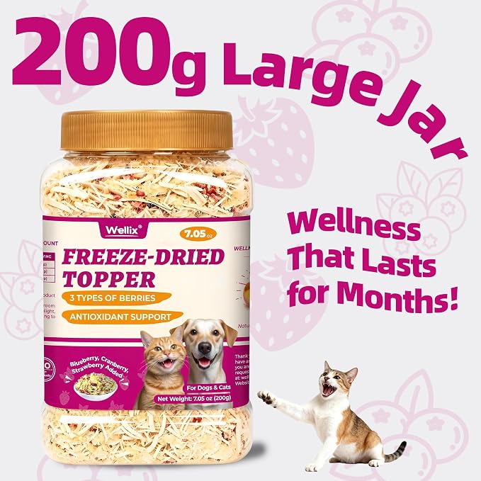 Wellix Freeze Dried Cat & Dog Treats - High Protein Cat Food Toppers with 3 Berries Added (Blueberry/Strawberry/Cranberry for Dogs) - Cat Treats for Indoor Cats 7.05oz