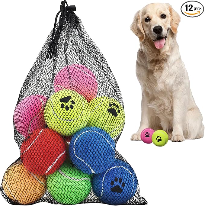 INSUM Bulk Tennis Balls for Dogs Pack of 12 Easy Catching Dog Fetch Balls (Non Squeaky-Multicolor)