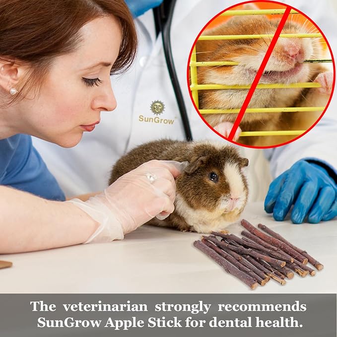 SunGrow Apple Sticks, Wood Chew Sticks for Rabbits, Chinchillas, Bunny, Hamster, Squirrel, Guinea Pigs, Small Animals Molar Pet Chew Toys Treat for Teeth Grinding 200g (7 oz)