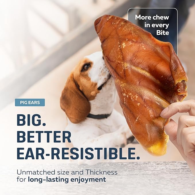 Big Lu – Whole Pig Ears for Dogs, Bulk 30 Count, All-Natural Single-Ingredient Pork Treats for Medium and Large Dogs, Easily Digestible, Supports Joint Health with Glucosamine and Chondroitin
