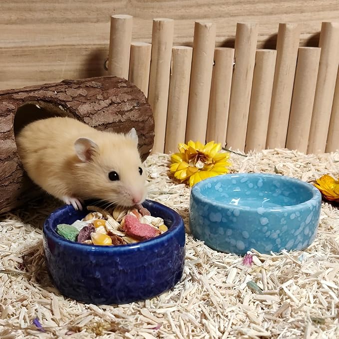 kathson 4 Pcs Hamster Food Bowl Guinea Pig Ceramic Water Bowl Small Animal Feeding Dish for Dwarf Hamster Gerbil Syrian Ferret Hedgehog Chinchilla Bunny