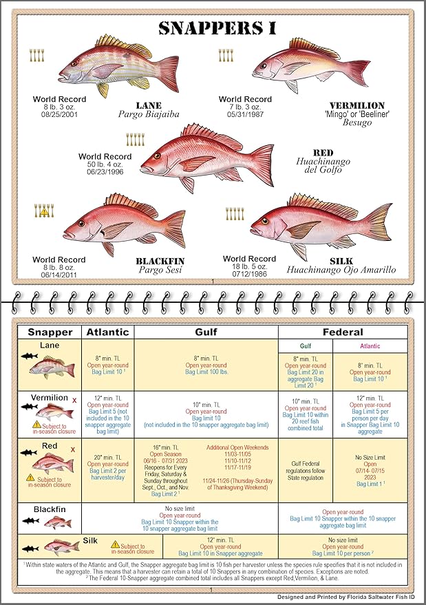 Florida Saltwater Fish Identification Book with FWC Rules, Regulations, Limits, and Sizes with 90+ Marine and Shark Photographs, Waterproof Fishing Guide, Angler and Fishermen Booklet