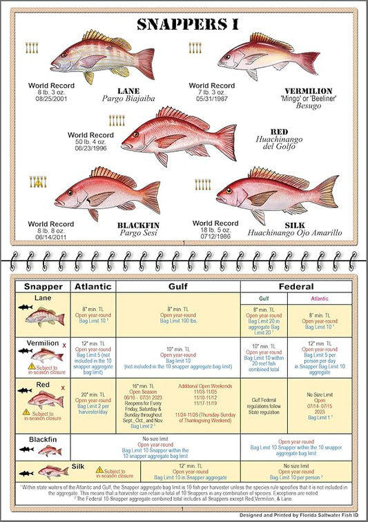 Florida Saltwater Fish Identification Book with FWC Rules, Regulations, Limits, and Sizes with 90+ Marine and Shark Photographs, Waterproof Fishing Guide, Angler and Fishermen Booklet