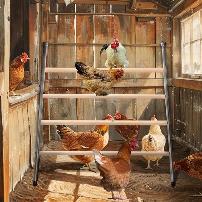 PETSFIT Square Chicken Roosting Perch, Perfect for Backyard Poultry, Chickens Perch for Coop, Easy to Assemble&Clean, Farm Chicken Toys (55" L x 40" W)