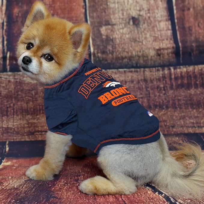 Denver Broncos Tee Shirt