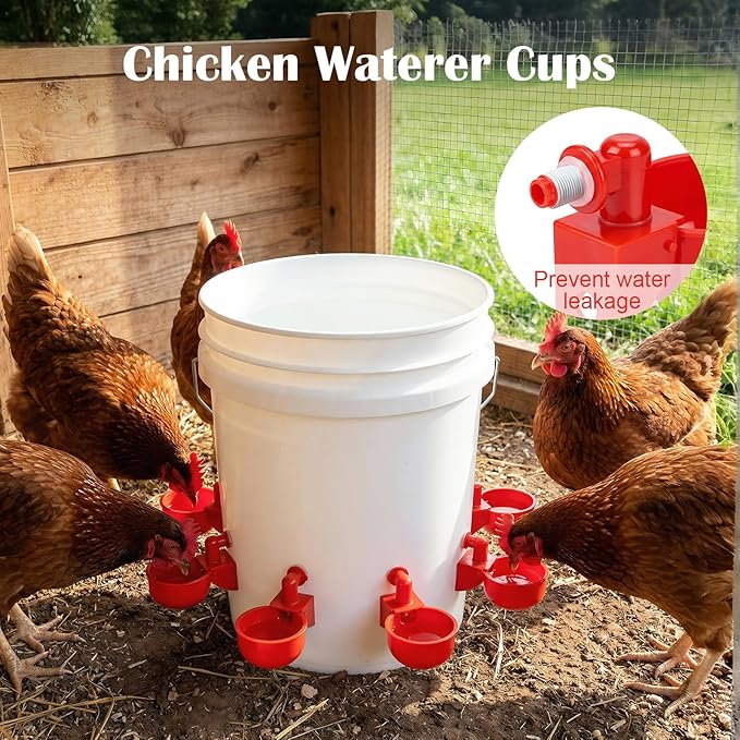 Chicken Oyster Shell Feeder and Grit Feeder and 6 Pcs Automatic Chicken Waterer Cup, Metal Hanging Poultry Feeders and Plastic Poultry Water Cup, Coop Accessories, Black+Red