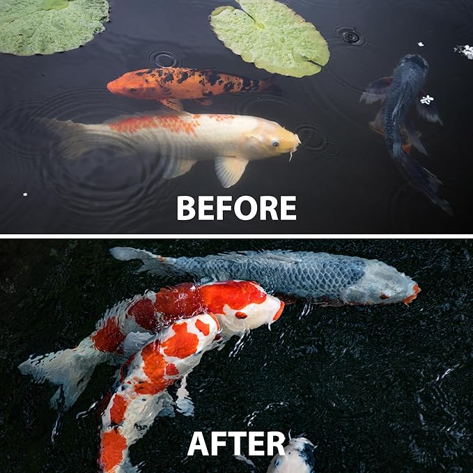 CrystalClear WheatGerm Fish Food—Protein-Rich Floating Pellets for Cold Freshwater Ponds, Ideal in Cooler Spring & Fall Seasons - 4.4 Pound Bucket