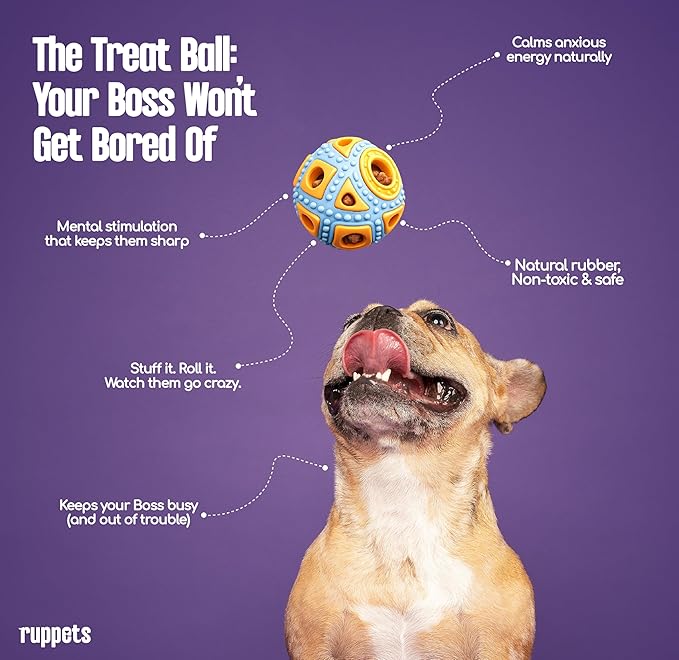 Dog Treat Dispensing Toy for Small Dogs – 2 Pack Natural Rubber Balls for French Bulldog, Chihuahua, Dachshund – Dental Chew + Treat Puzzle Ball, Mental Stimulation, BPA Free