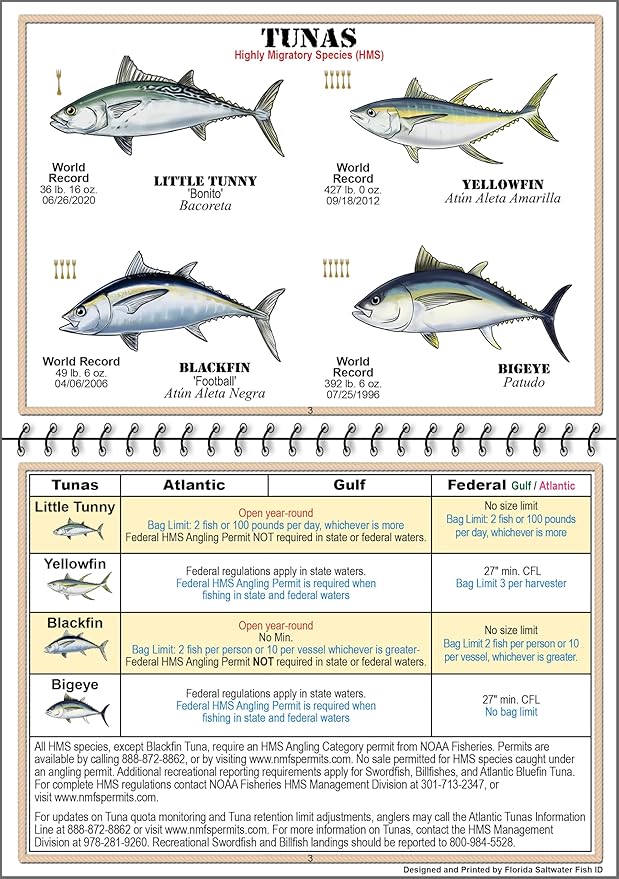 Florida Saltwater Fish Identification Book with FWC Rules, Regulations, Limits, and Sizes with 90+ Marine and Shark Photographs, Waterproof Fishing Guide, Angler and Fishermen Booklet