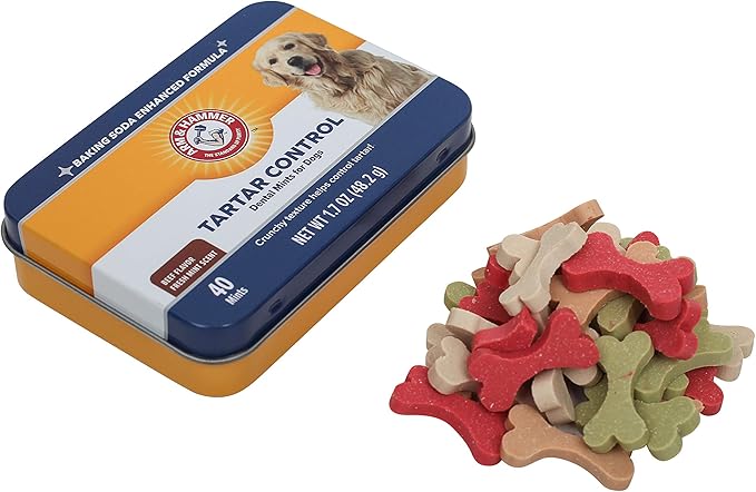 Arm & Hammer for Pets Tartar Control Dental Mints for Dogs, Reduces Plaque & Tartar Buildup Without Brushing, Freshens Dog Breath, Beef Flavor, Fresh Mint Scent, 40 Count, Medium Breeds - 60 Pack