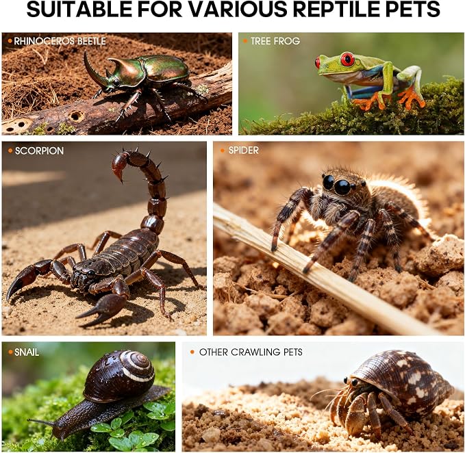 Jumping Spider Enclosure, Insect Terrarium, Bug Cage, Acrylic Terrarium for Tarantula, Snail, Praying Mantis, Frog, and Small Reptiles, Includes Tweezer and Bowl, (5.9" x 5.9" x 9.8")