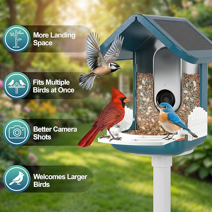 Dreyoo Perch Extender with 2 Side Fences Compatible with Bird Buddy Smart Bird Feeder - Wider Landing Space, Camera-Friendly Design for Clear Photos, UV-Resistant Outdoor Accessory, Screws Included