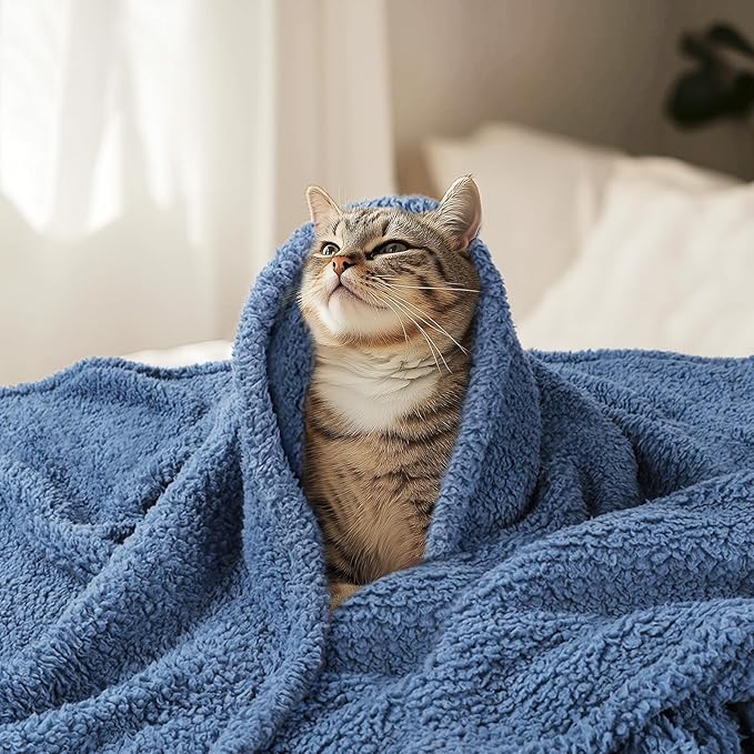 Luciphia Premium Fleece Dog Puppy Blanket Soft Pet Sherpa Calming Cat Blankets Throw for Small Medium Dog Cat(Haze Blue,57x40 inches)