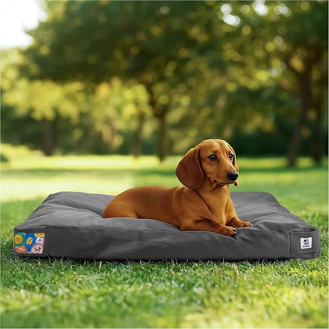 Sytopia 30 Inch Canvas Outdoor Dog Bed for Medium Dogs, Chew Proof Dog Bed with Waterproof Machine Washable Removable Cover, Durable Indoor Patio Pet Pad for Crate, Dark Grey