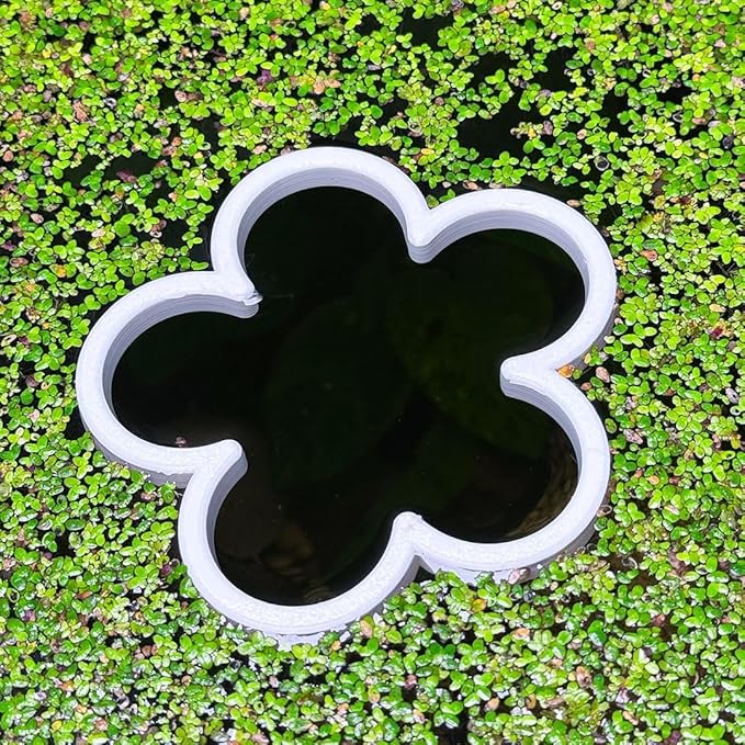 Fish Feeding Portal for Betta & Aquariums | Floating Food Ring & Breathing Window (Daisy) (Black)
