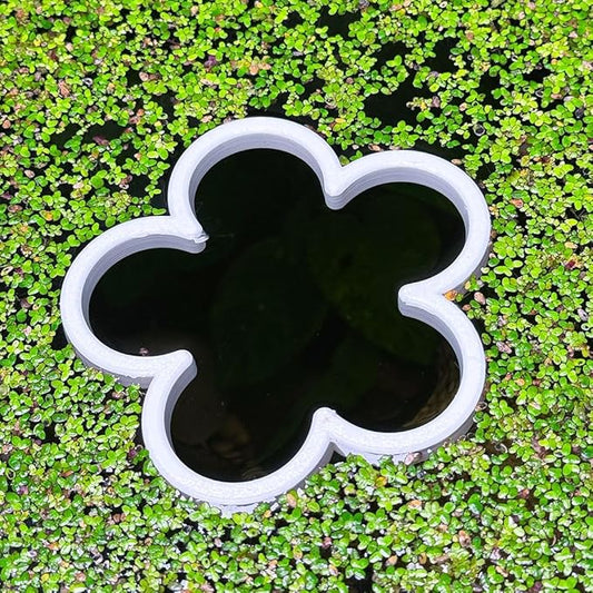 Fish Feeding Portal for Betta & Aquariums | Floating Food Ring & Breathing Window (Daisy) (White)